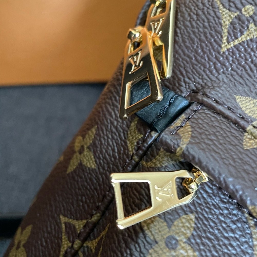 Louis Vuitton monogram Palm Springs backpack mm - Picture 5 of 11